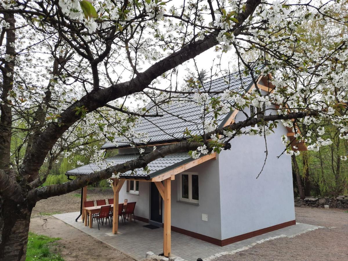 Noclegi Rozanka Radomierz Buitenkant foto